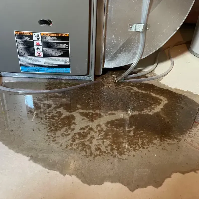 Appliance Leak Cleanup in Arcadia, FL